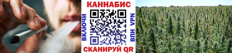 Марихуана MAZAR  Купить закладки  Грязовец 